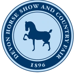 DHSCFFoundation